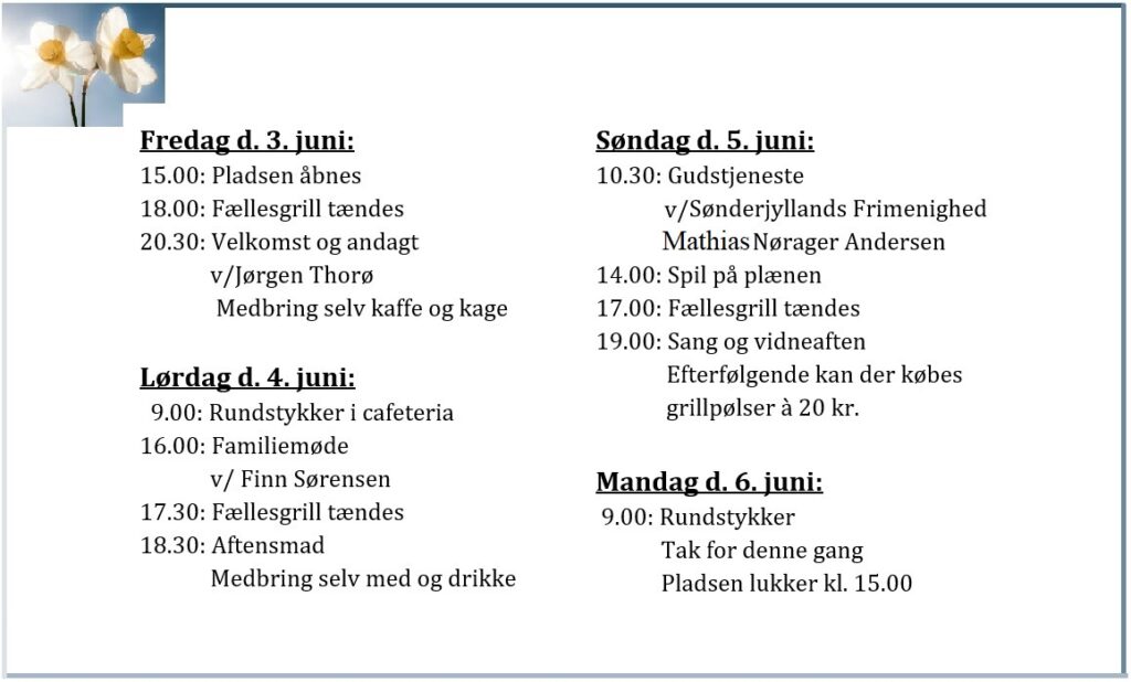 Pinsecamping program